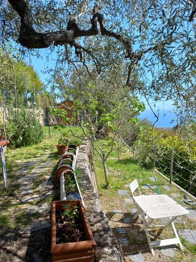 公寓 圣雷默La Casa Di Elda公寓