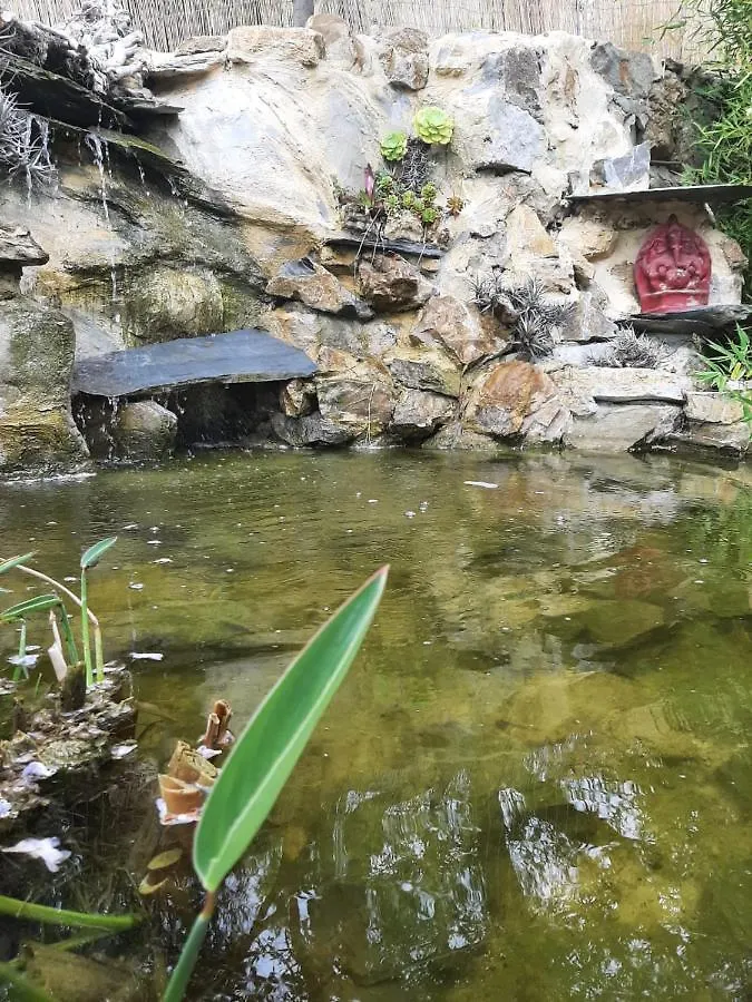 圣雷默La Casa Di Elda公寓 公寓 圣雷默